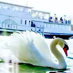 Hotel Cornavin Geneve
